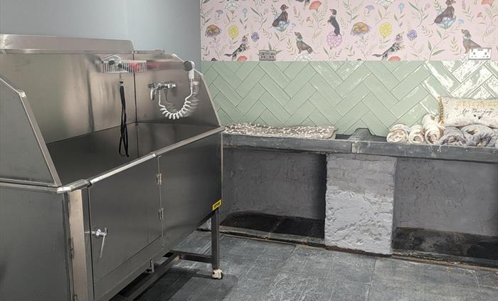Dog Groom Room